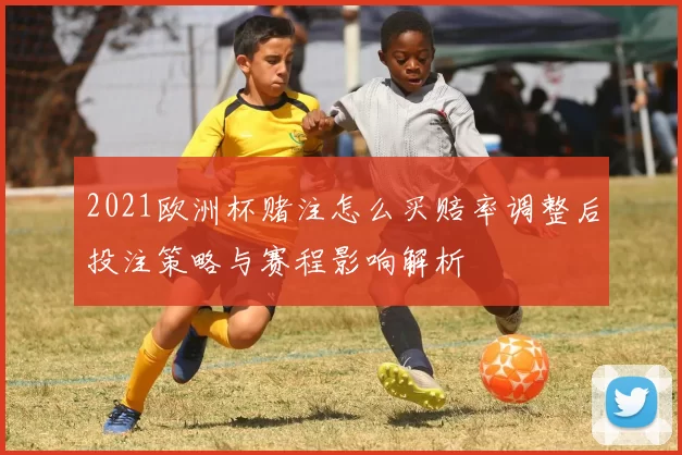 2021欧洲杯赌注怎么买赔率调整后投注策略与赛程影响解析