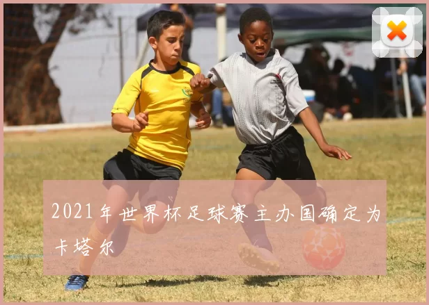 2021年世界杯足球赛主办国确定为卡塔尔