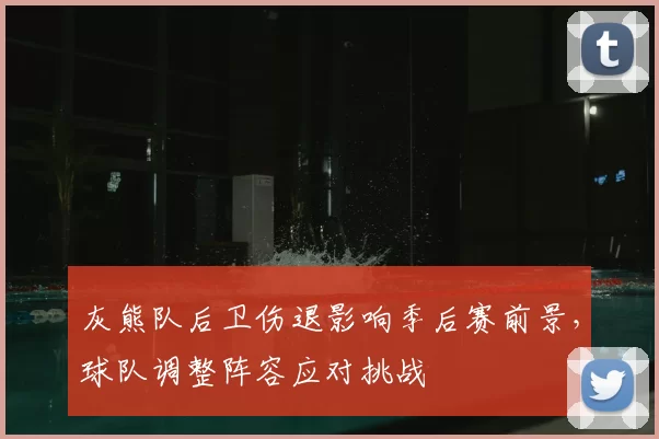 灰熊队后卫伤退影响季后赛前景，球队调整阵容应对挑战