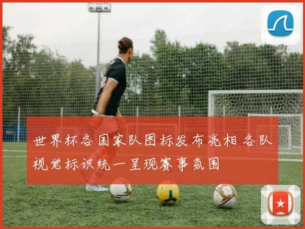世界杯各国家队图标发布亮相 各队视觉标识统一呈现赛事氛围